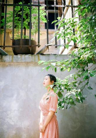 免费观看樱花动漫全集高清版？这些数字秘密你知道吗！